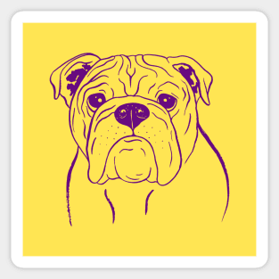 English Bulldog (Yellow and Purple) Sticker